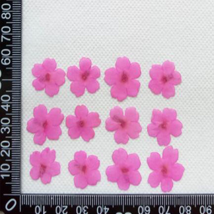 60 peças 1-2cm prensado seco t - Dried Flower Bookmark avaliação e preço