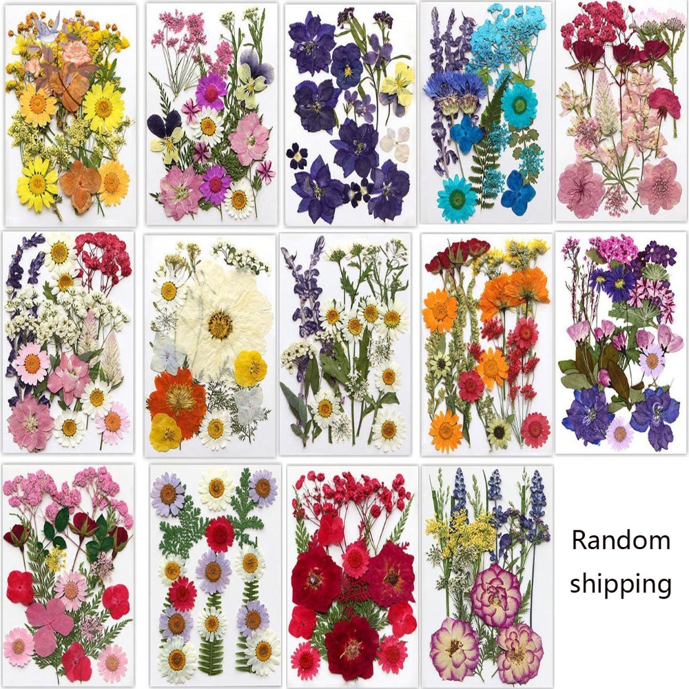 Feito à mão pressionado flores - Dried Flower Bookmark avaliação e preço