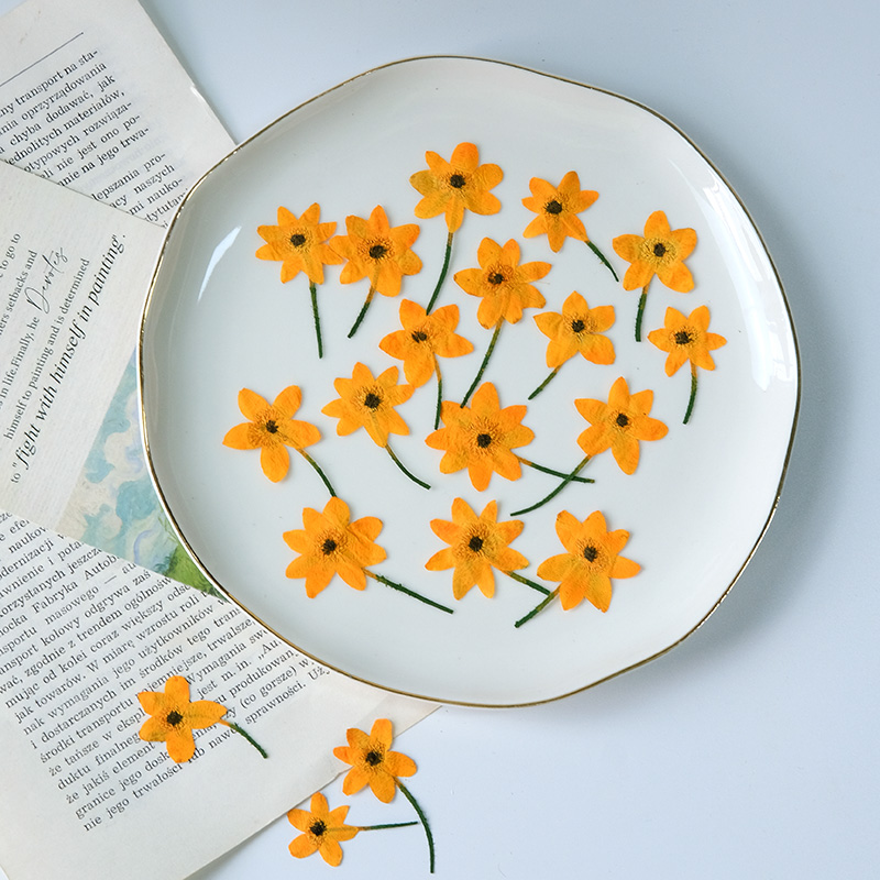 Pétalas de Anêmona Naturais Pr - Dried Flower Bookmark avaliação e preço